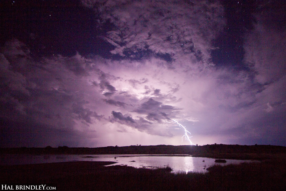 Lightning storm in the Kalahari Desert and temporary pond forming in dry river bed. Kgalagadi Transfrontier Park South Africa.