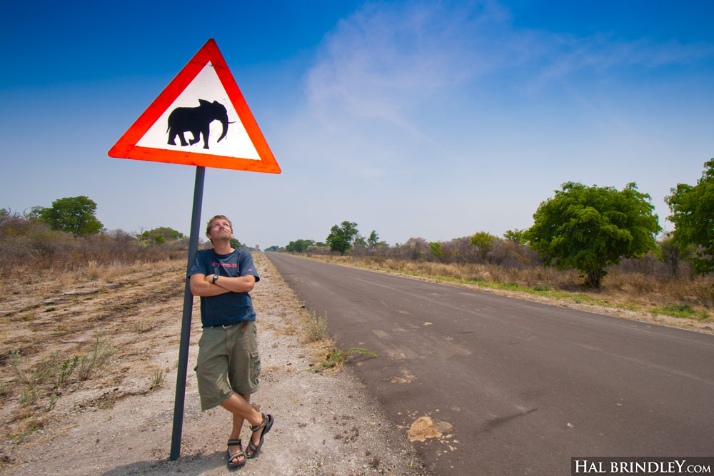 Hal with elephant crossing sign, Namibia